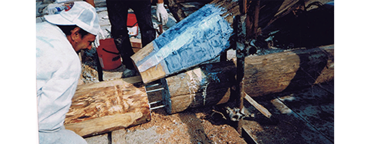 carperappalti_banner_home_5